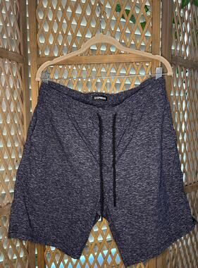Express Athletic Shorts sz L